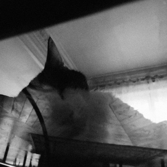 JULESISNOTWELL JULESISNOTWELL